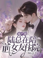 穆婉娇陆简州（流产夜，陆总在陪前女友住院）小说大结局无弹窗在线阅读