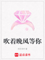 吹著晚風等你