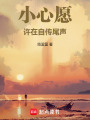 小心愿：許在自傳尾聲