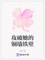 攻破她的銅墻鐵壁