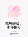 微風拂過，那年剛好
