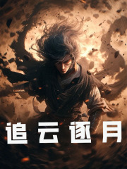 主角罗鸿小说追云逐月免费阅读