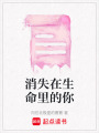 消失在生命里的你