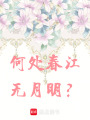 何處春江無月明？
