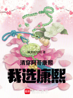 清穿：阿哥，康熙，我選康熙！