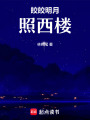 皎皎明月照西樓