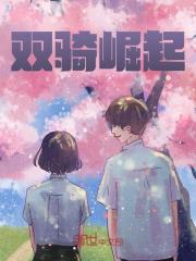 苏白安如画小说在线免费阅读（比翼双飞无弹窗无删减）-虎运文学