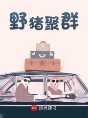 野猪聚群赵江王桂小说章节免费阅读