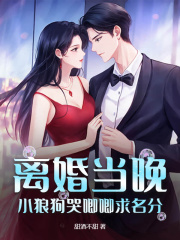 主角沈曦月陆司南小说离婚当晚，小狼狗哭唧唧求名分免费阅读