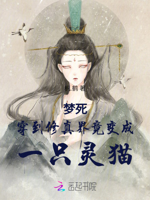 夢(mèng)死穿到修真界竟變成一只靈貓