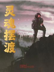 已完结小说《灵魂摆渡》在线免费阅读