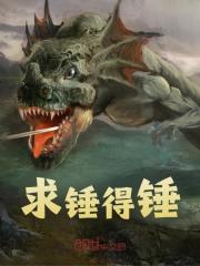 求锤得锤（林奇程玉）小说，求锤得锤免费阅读