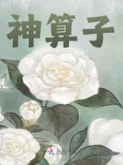 阎落贺州小说（阎落贺州神算子）章节无弹窗试读