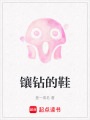 鑲鉆的鞋