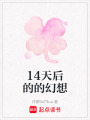 14天后的的幻想