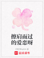 擦肩而過(guò)的愛(ài)戀呀
