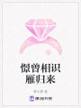 憬曾相識雁歸來