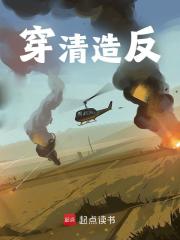 《穿清造反》全集免费在线阅读（李郁黄通）