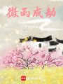 微雨成劫