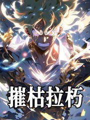 摧枯拉朽小说无删减在线免费阅读