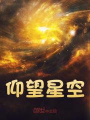 仰望星空免费阅读，仰望星空陆尘小说无弹窗阅读