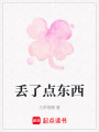 丟了點(diǎn)東西