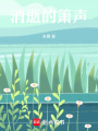 消逝的簫聲