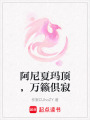 阿尼夏瑪頂，萬籟俱寂