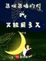 忽明忽暗的燈我又能用多久