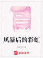 風(fēng)暴后的彩虹
