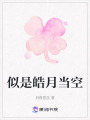 似是皓月當空