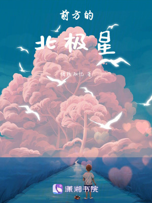 前方的北極星