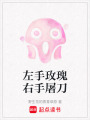 左手玫瑰右手屠刀