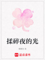 揉碎夜的光