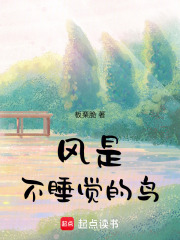 風是不睡覺的鳥