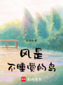 風(fēng)是不睡覺的鳥