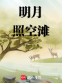 明月照空灘