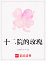 十二院的玫瑰