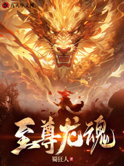 罗成罗洪小说叫什么（至尊龙魂免费阅读）