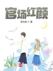 官场红颜（官场红颜）小说完结版在线阅读-瑞奇文学