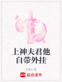 上神夫君他自帶外掛