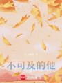不可及的他