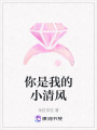 你是我的小清風