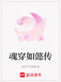 魂穿如懿傳