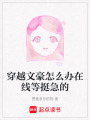 穿越文豪怎么辦在線等挺急的