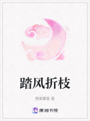 踏風折枝