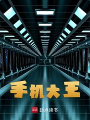 小说《手机大王》在线阅读-经典文学