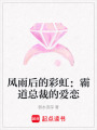 風(fēng)雨后的彩虹：霸道總裁的愛戀