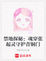 禁地探秘：魂穿張起靈守護青銅門