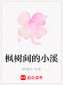 楓樹間的小溪